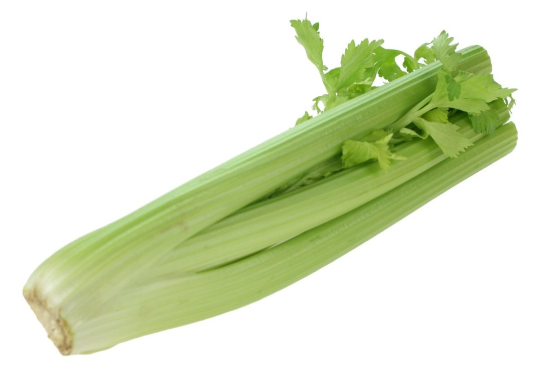 celery01-lg